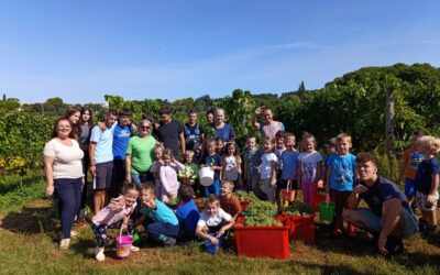 Balotini agrotehničari zajedno s vrtičkom skupinom u berbi grožđa