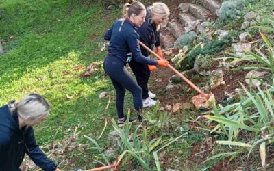 Zelena čistka za još ljepši pogled i vedrije prirodno  okruženje