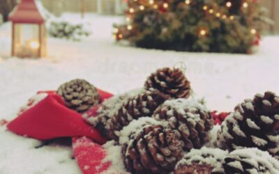  Završetak prvog polugodišta