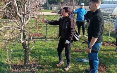 Održana još jedna velika zelena čistka u Baloti