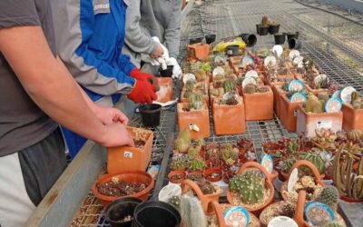 Od donacije do poduzetničke priče – zajedništvo koje cvjeta