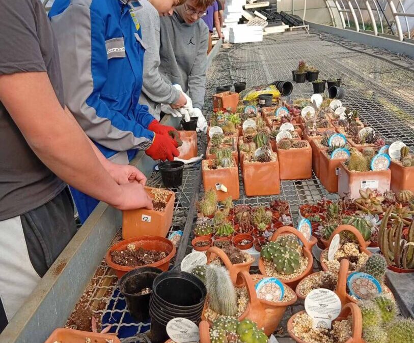 Od donacije do poduzetničke priče – zajedništvo koje cvjeta