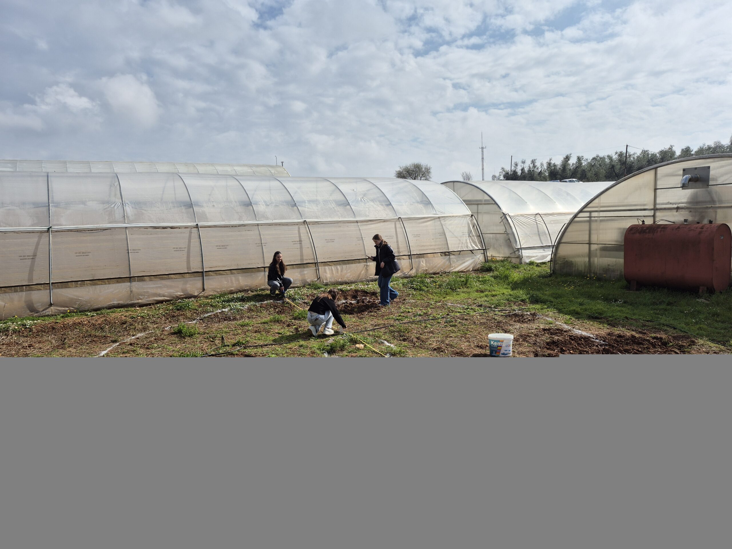 Čarobni Balotin Eko vrt – matematika koja raste! 