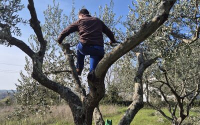 Maturanti u zelenoj akciji