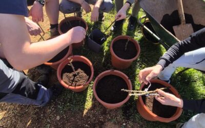 Agrotehničari u proljetnoj sjetvi prvih cvjetnica