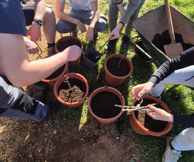Agrotehničari u proljetnoj sjetvi prvih cvjetnica