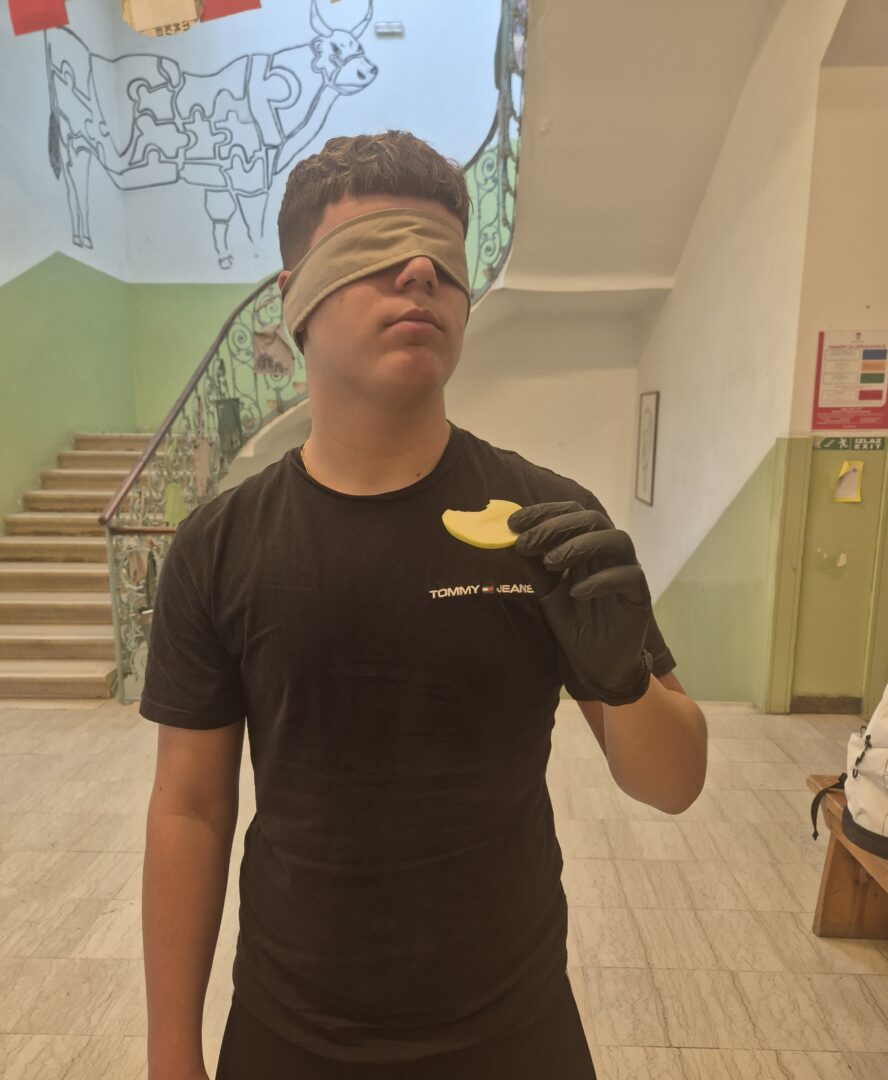 Bez naslova